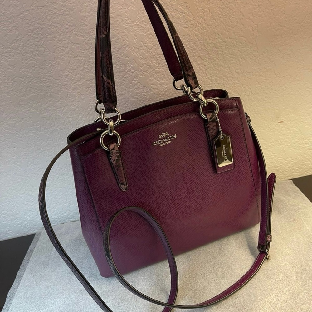 RARE Coach Mini Sage Minett Crossbody Satchel Bag